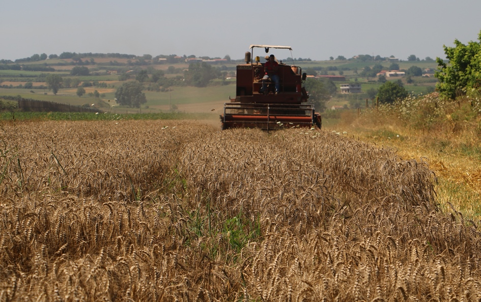 Ue, Cia: agricoltura pronta a sfide sulla sostenibilità, ma merita un ruolo centrale