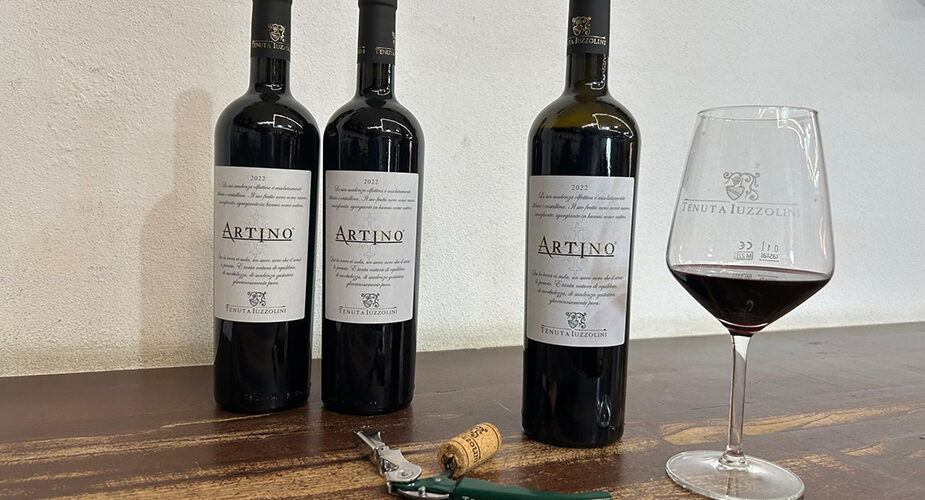 Concorso internazionale Mundus Vini: <strong>Tenuta Iuzzolini</strong> ha conquistato la medaglia d’oro con lo straordinario rosso Artino